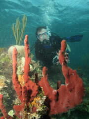 SandalsDive3