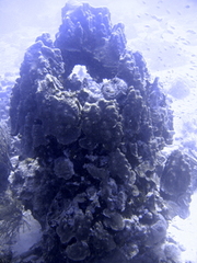 20060605 1193
