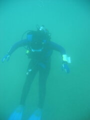 IMG 1063