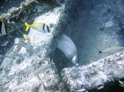 IMG 0973