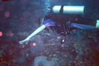 SCUBA2002NovFL