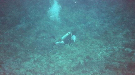 divers1