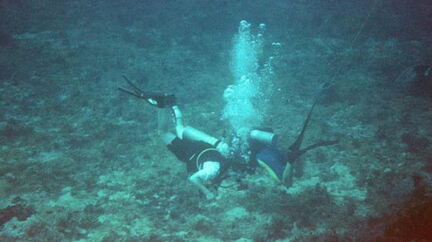 divers2