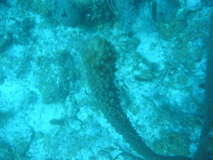 IMG 0173