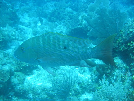 IMG 0172