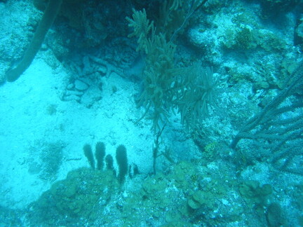 IMG 0174