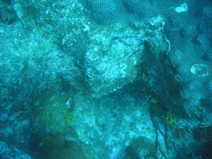 IMG 0179