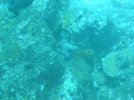 IMG 0185