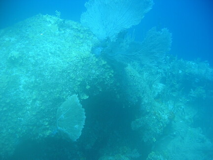 IMG 0193