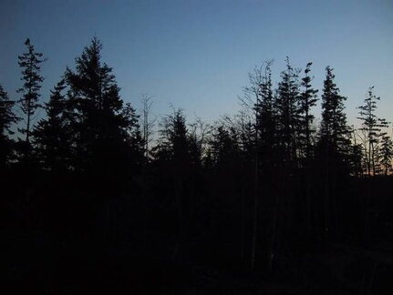 saltspringsunset2