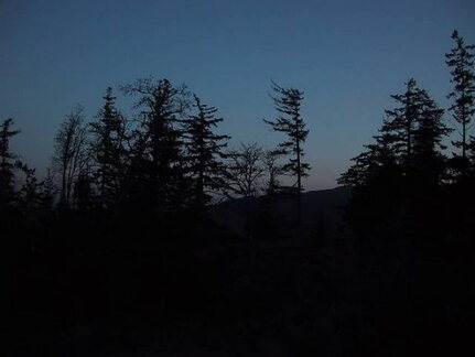 saltspringsunset4