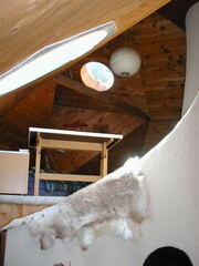 viz-loftf