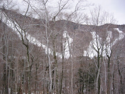100-0060 IMG