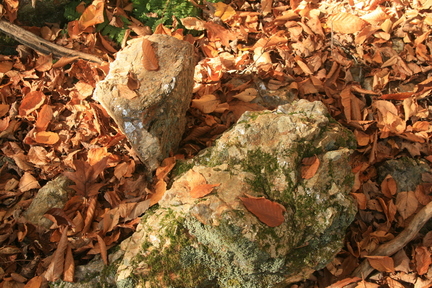 IMG 0017