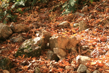 IMG 0018