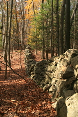 IMG 0021