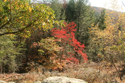 IMG 0025