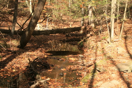 IMG 0027