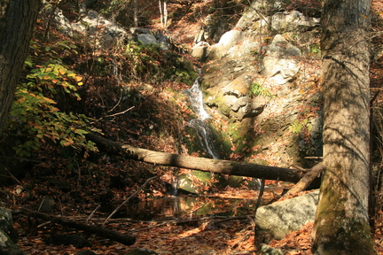 IMG 0032
