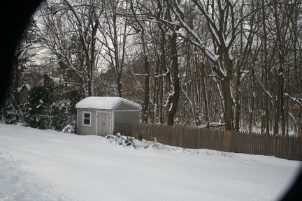BackyardShed1