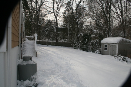 Backyard1