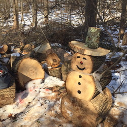Mr Woodman