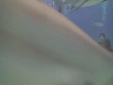BahamasSharkDiveScottPart1
