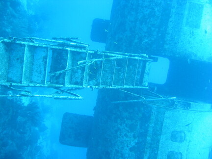 IMG 1181