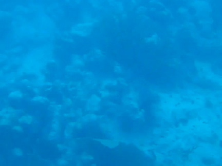 VID00039